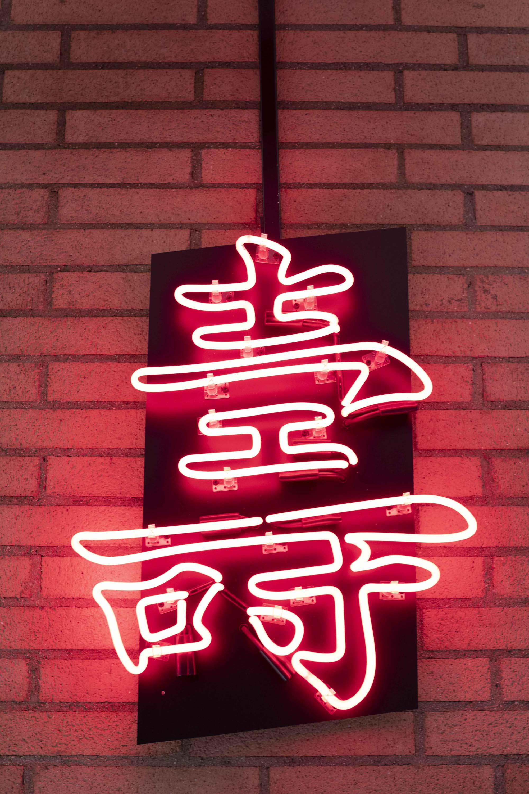 A neon Chinese symbol meaning &ldquo;longevity&rdquo; hangs in George Shannon&rdquo;s office at USC, where he's a professor of gerontology.